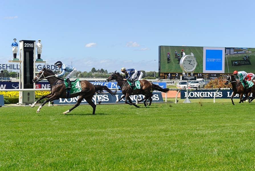 Libran sails clear in the Group 3 NE Manion Cup at Rosehill Gardens, 2016