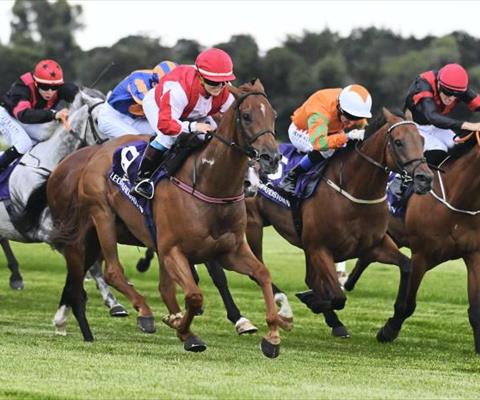 Redstone Well(IRE)